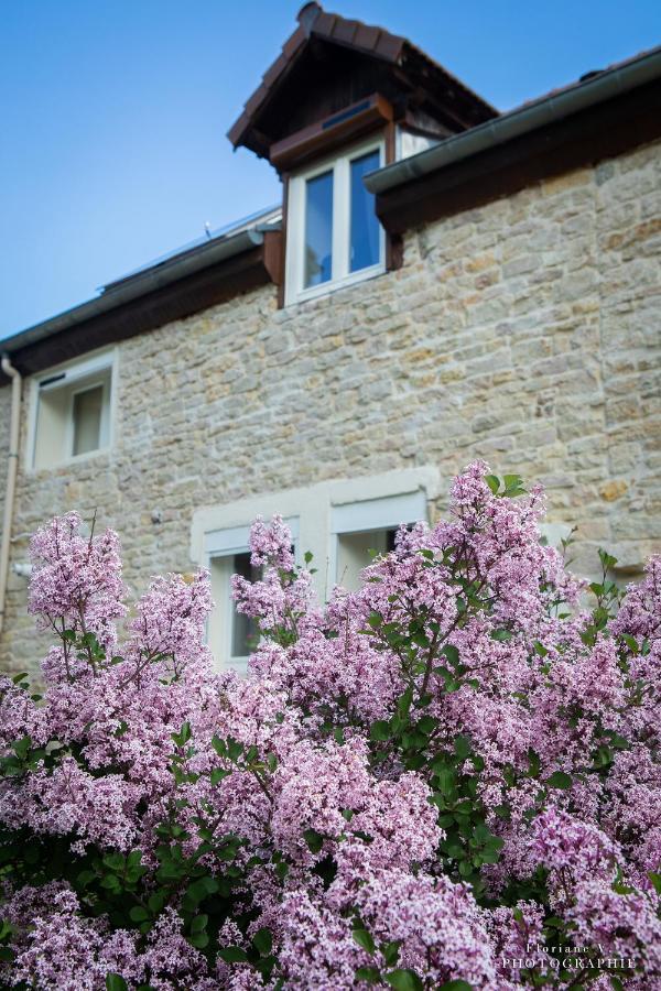 Bed and Breakfast Aux Mésanges Labergement-Foigney Esterno foto